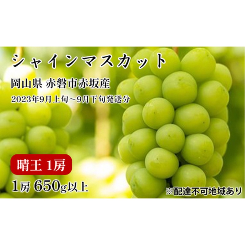 ぶどう マスカットビオレ 青秀 3〜6房 1.5kg 岡山県産 葡萄 ぶどう