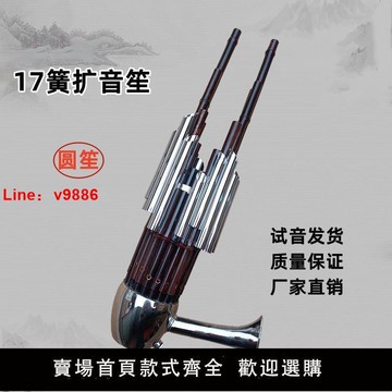 【台灣公司 超低價】宏盛笙樂器17簧笙DC調大音量圓笙成人兒童笙初學者入門專用普及笙【7天內發貨】