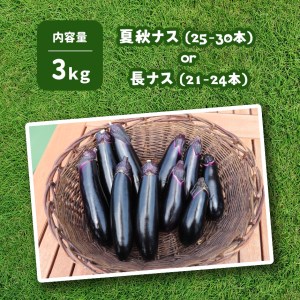 野菜 ナス 旬を味わうナス 約5kg