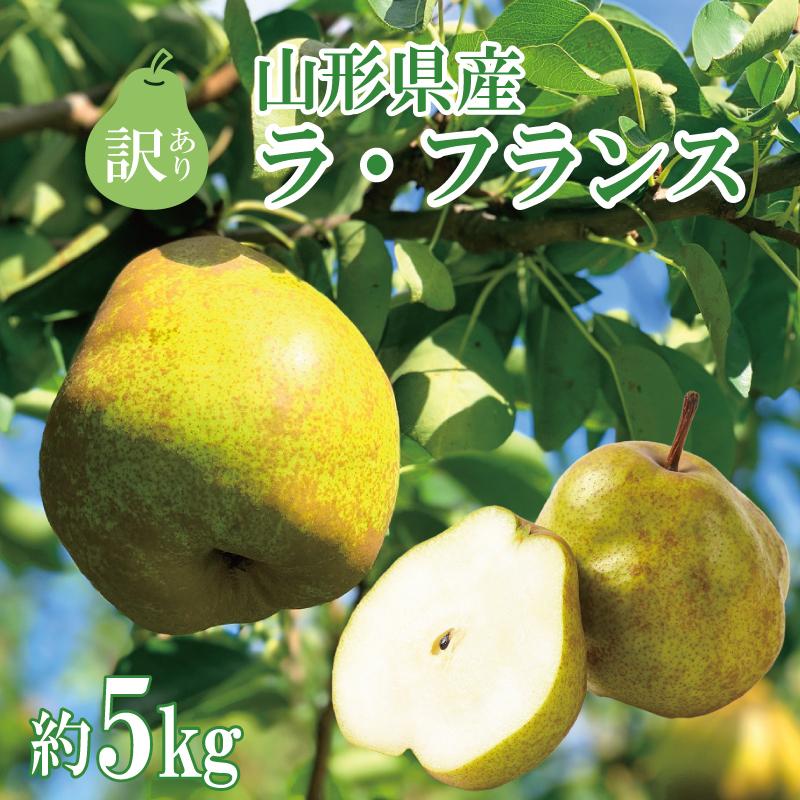 お歳暮 ラ・フランス 訳ありラ・フランス　約5kg 10玉〜24玉  山形県産 ラフランス 絶品 高級 送料無料 果物 ギフト プレゼント 2023 産地直送 フルーツ