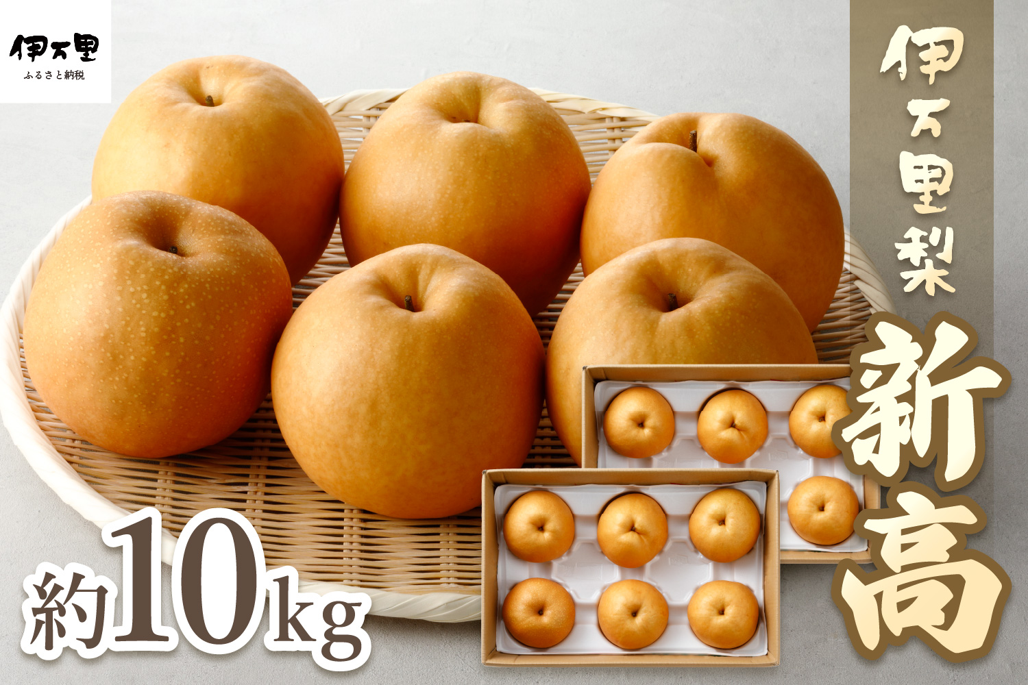 伊万里梨「新高」 10kg (約5kg×2箱)  B166