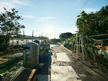 阿蓮成功街旁 459坪農地 ╳附現成「合法資材」｜高雄市阿蓮區成功街