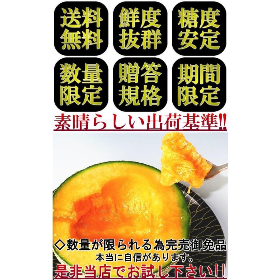 赤肉メロン 約4〜5kg 2〜5玉 秀品〜優品 茨城県・山形県産中心 贈答規格 大玉 JA共撰品 A品 ギフト最適な大玉の果実に豊かな甘さ