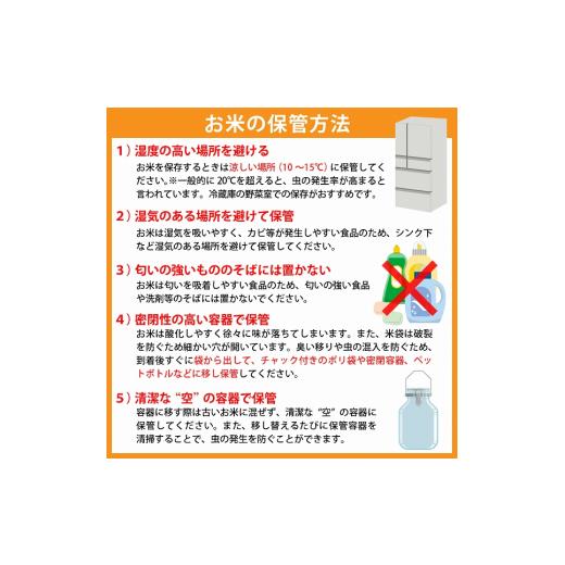 ふるさと納税 山形県 河北町 ※2023年12月下旬スタート※ はえぬき120kg（20kg×6ヶ月）定期便 山形県産