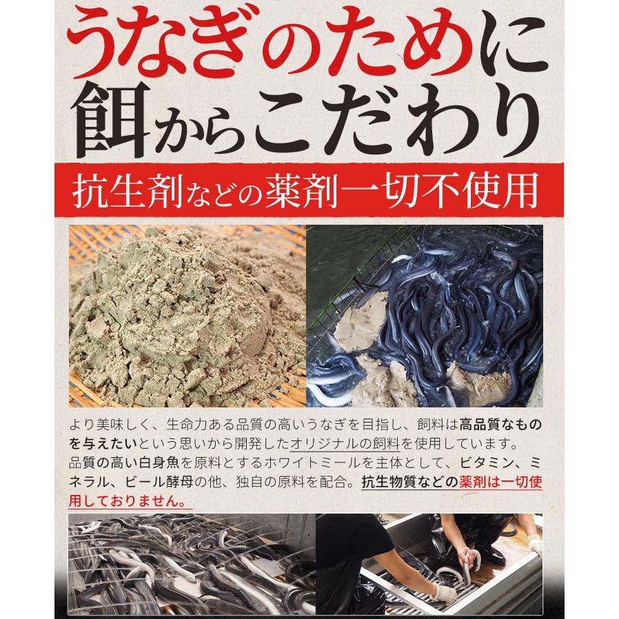 うなぎ 伊勢志摩産 たれ 大サイズ １尾 たれ付 送料無料 国産 ウナギ 鰻 蒲焼き 丑の日 個包装 冷凍 化粧箱入 お歳暮 ギフト