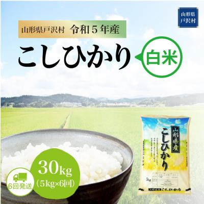 ふるさと納税 戸沢村  コシヒカリ 定期便 30kg(5kg×6回お届け)山形県 戸沢村