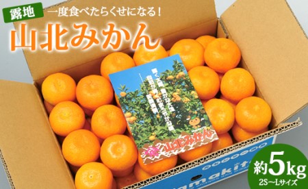 一度食べたらくせになる！高知県産 山北みかん 約5kg(露地 2S～Lサイズ) 果物 フルーツ ミカン 柑橘 のし 贈り物 冬 お取り寄せ 産地直送 特産品 Bku-0006