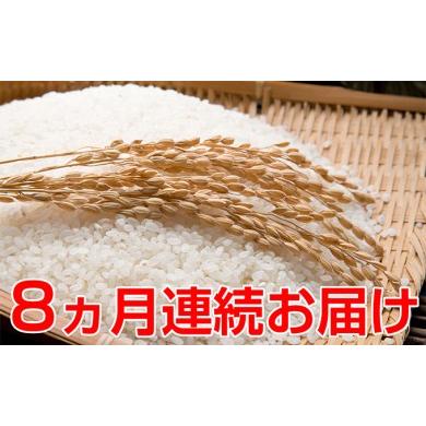 ふるさと納税 福井県 おおい町 新米！つきたて自家製精米　減農薬コシヒカリ　5kg