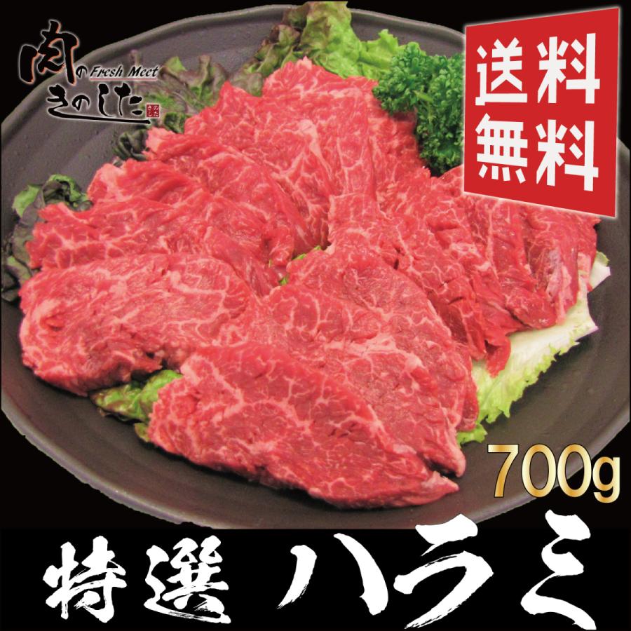 牛 特選ハラミ 700g  牛肉 BBQ バーベキュー 焼肉 大容量 送料無料