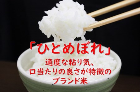 《定期便》 5kg×8回 令和5年産 ひとめぼれ 土作り実証米 合計40kg 秋田県産