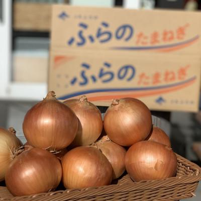 ふるさと納税 富良野市 JAふらの　玉ねぎ・L〜2Lサイズ　10kg