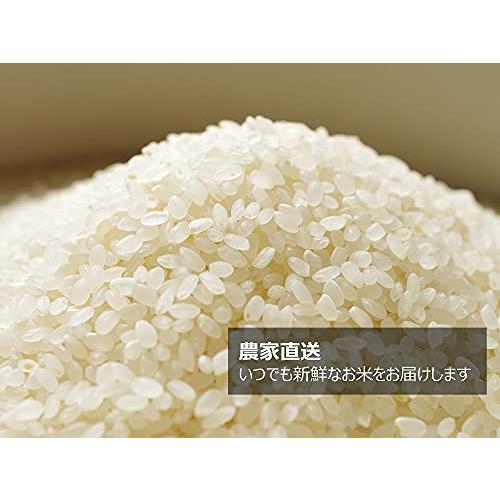 多古米 白米 コシヒカリ 10kg 令和5年産 千葉県産 新米 美味しい お米 高級米（白米10kg）