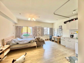 巨蛋核心商圈富國公園大套房｜高雄市左營區富國路