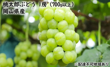 ぶどう 2024年 先行予約 桃太郎 ぶどう 1房 700g以上 化粧箱入り ブドウ 葡萄  岡山県産 国産 フルーツ 果物 ギフト