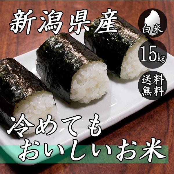 お米 15kg 新潟産 冷めてもおいしいお米 5kg×3袋 送料無料 令和5年産 米 白米