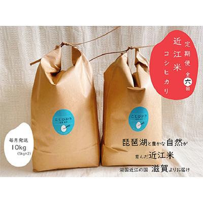 ふるさと納税 竜王町 10kg(全6回)