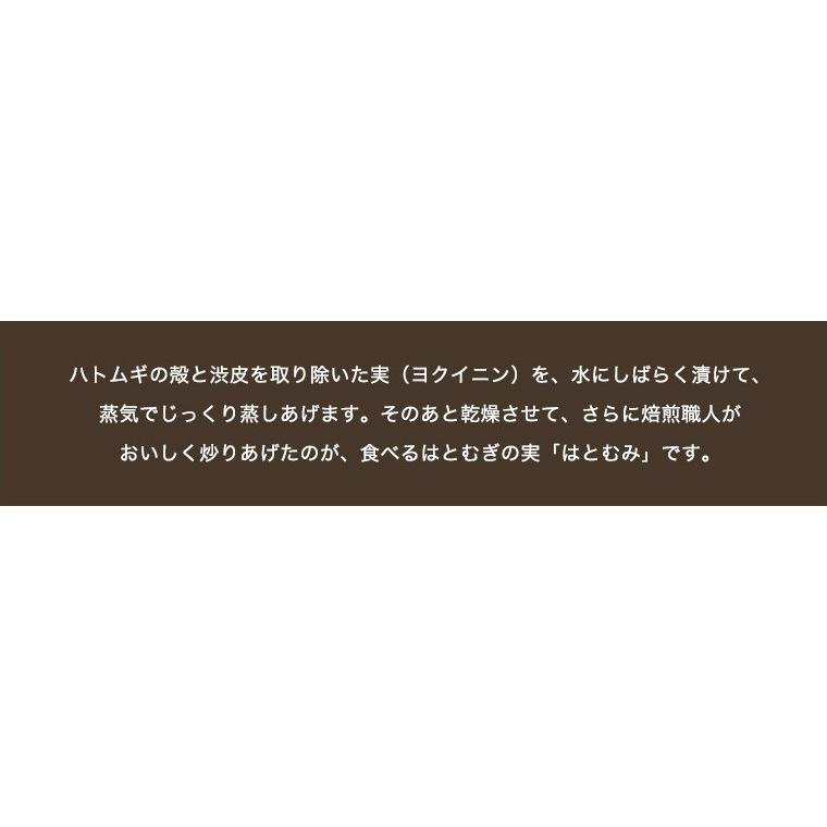 ハトムギ スナック 100g 2袋 セットそのまま 食べる はと麦 ヨクイニン はとむぎの実 はとむみ 送料無料