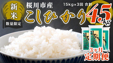  令和5年 新米 数量限定 桜川市産 こしひかり 合計45kg 15kg（5kg×3袋)×3回 茨城県産 桜川 米 お米 白米 コメ ごはん 精米 コシヒカリ 国産 限定  [AX007sa]