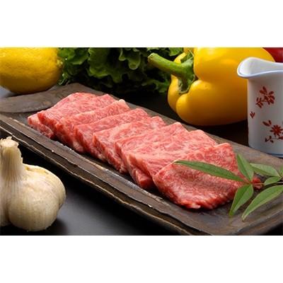 ふるさと納税 嬉野市 佐賀和牛ロース焼肉用　700g