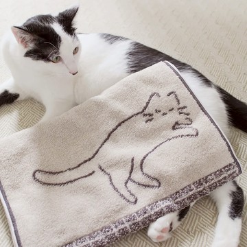 今治沉睡的貓浴巾 長巾 手帕 |親膚吸水|柔軟舒適|療癒色系 - 長巾-米果黃