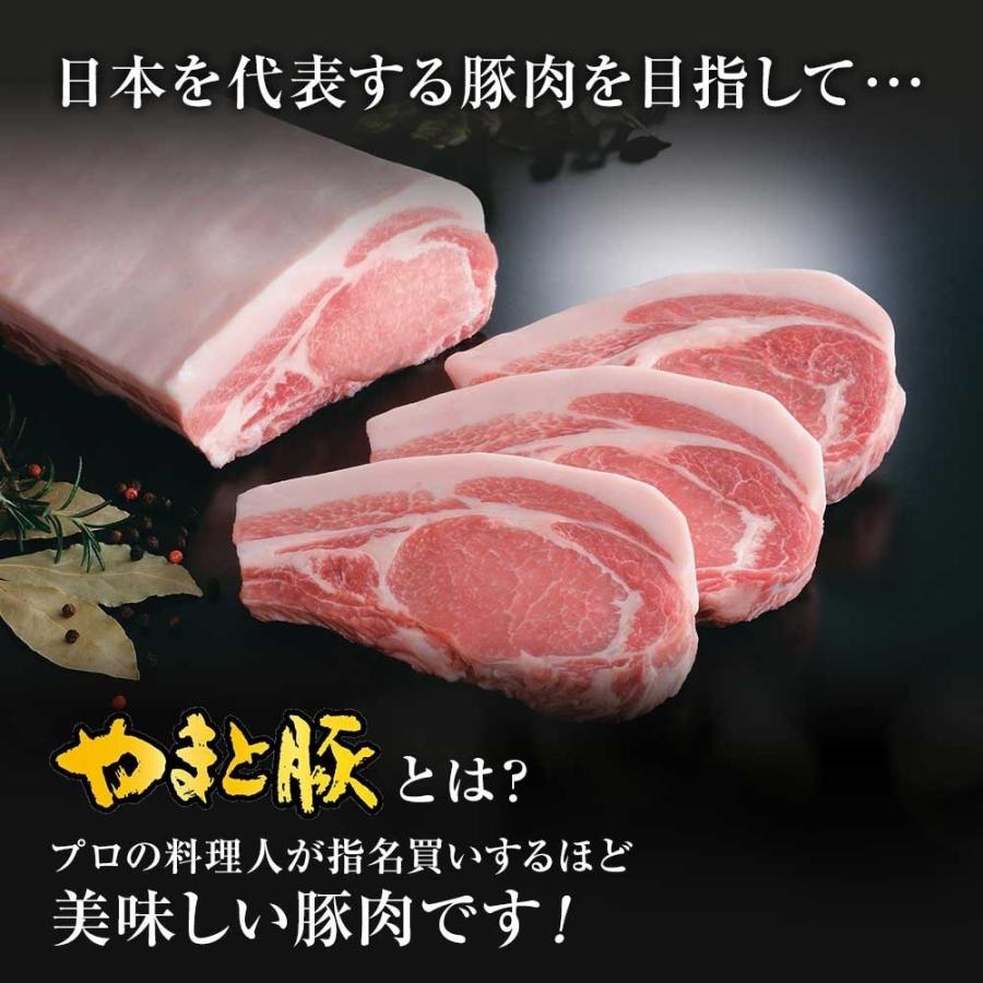 やまと豚 ベーコンブロック 900g NS-CI [冷蔵] 送料無料 お歳暮 食品 お取り寄せベーコン ブロック 燻製 肉 お肉 豚肉 ハムソーセージ 豚バラ 豚バラ肉