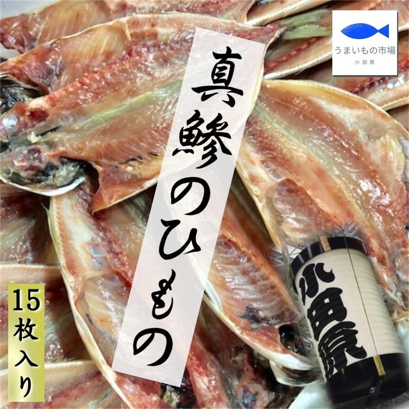 真あじ干物 15枚 (1枚100g) 小田原加工、脂あります 