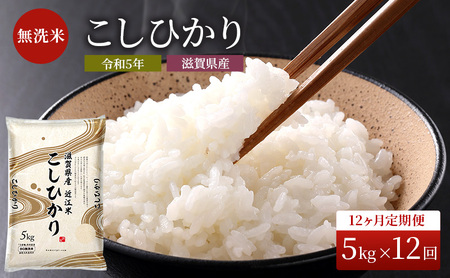 米 定期便 12ヶ月 こしひかり BG無洗米 5kg 令和5年 ふるさと応援特別米 無洗米 お米 こめ コメ おこめ 白米 コシヒカリ 12回 お楽しみ