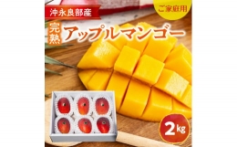 ≪ご家庭用≫東マンゴー園直送！完熟アップルマンゴー 2kg（４～６玉） 