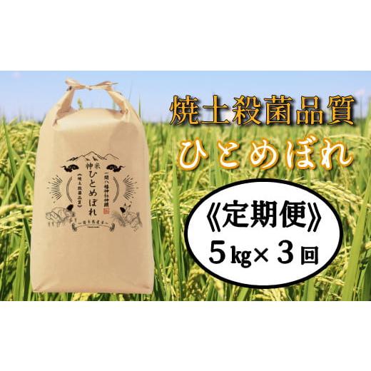 ふるさと納税 岩手県 一関市 令和5年産 神米ひとめぼれ５kg（毎月発送）