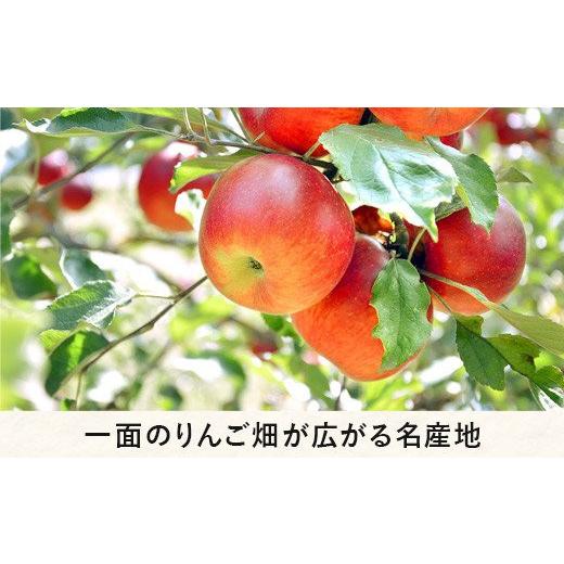 ふるさと納税 長野県 飯綱町 りんご サンふじ 秀 〜 特秀 10kg 渡辺農園 2023年12月上旬頃から2024年1月中旬頃まで順次発送予定 令和5年度収穫分 エコファーマ…