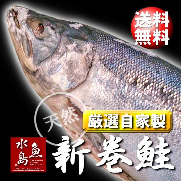 厳選 新潟産・天然「新巻鮭」4kg物 数量限定生産 送料無料