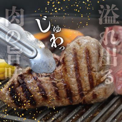 ふるさと納税 明和町 松阪牛ヒレステーキ600g(4枚)