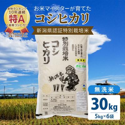 ふるさと納税 上越市 お米マイスターが育てた特別栽培米 精米コシヒカリ 上越産 令和5年産 30kg(5kg×6袋)無洗米