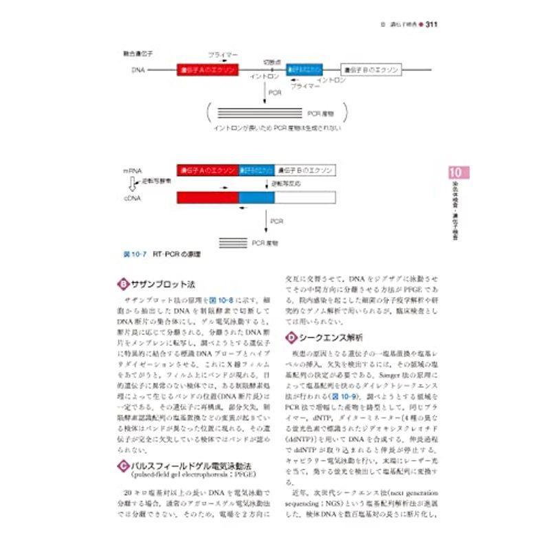 標準臨床検査医学 第5版 (Standard Textbook)