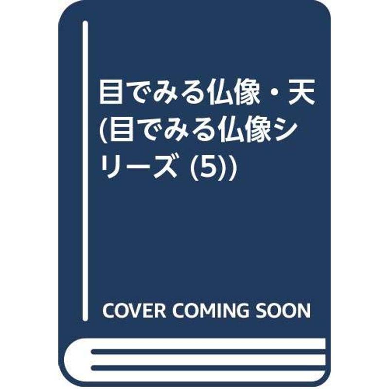目でみる仏像・天 (目でみる仏像シリーズ 5)