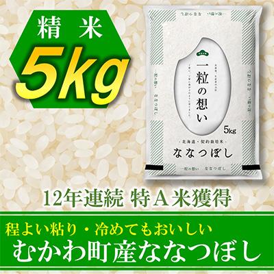 ふるさと納税 むかわ町 12年連続特A受賞米!北海道むかわ町産ななつぼし　精米5kg