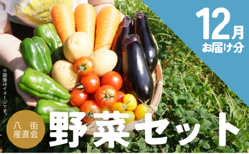 八街産直会の野菜セット（6～7品）