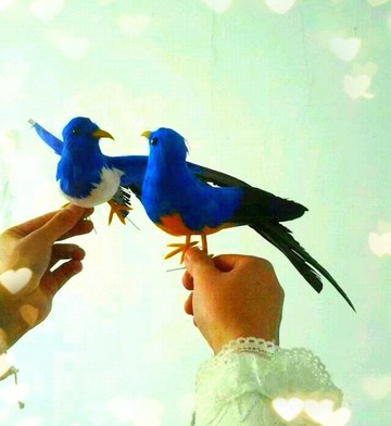 定做各種仿真動物 手工藝品 仿真喜鵲  仿真鳥 教學模型 攝影道具