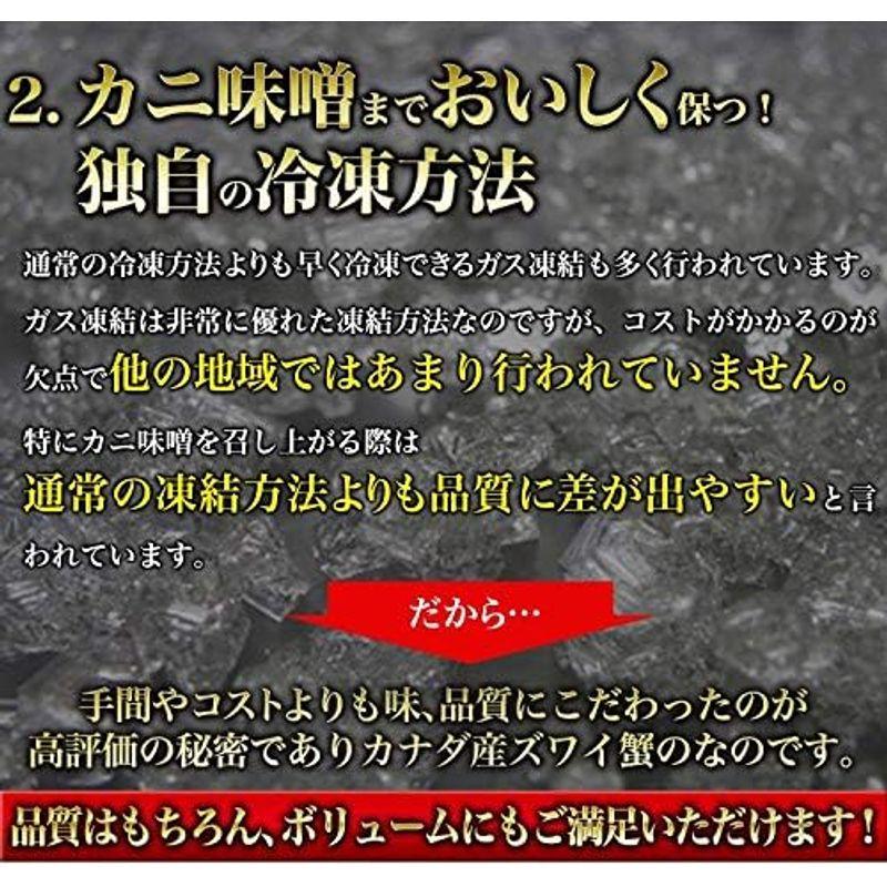 食の達人森源商店 姿ズワイガニ 高級カナダ産 ボイル済み 3kgセット(5?6尾) カニ かに 蟹 味噌 グルメ