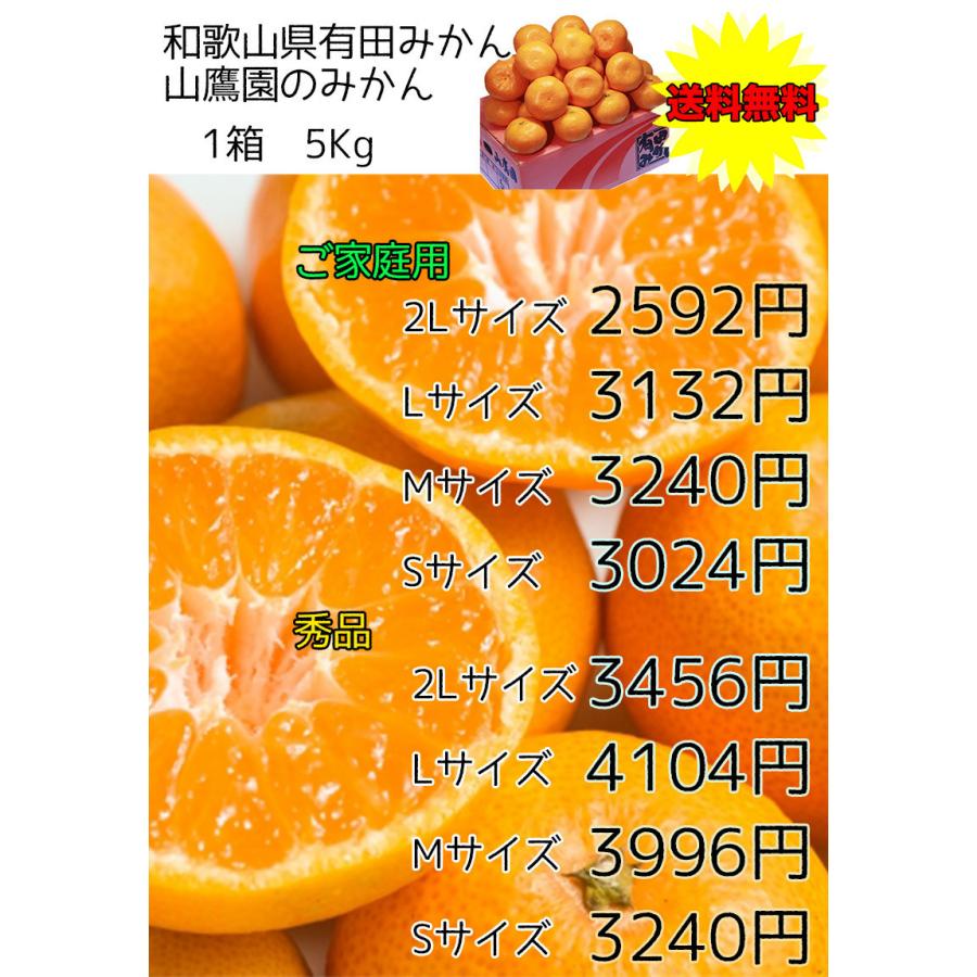 みかん 5Kg 送料無料 和歌山県 有田みかん 山鷹みかん 秀 Lサイズ 5kg 贈答用 ギフト