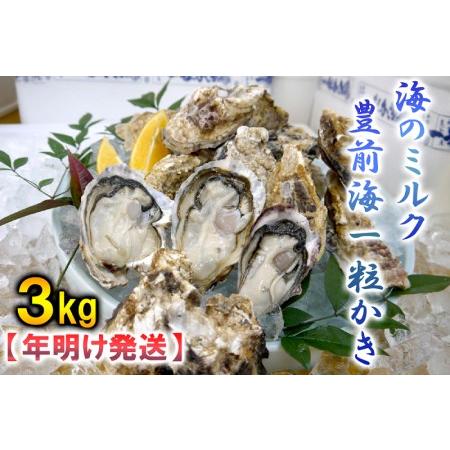 ふるさと納税 AG-004海のミルク・豊前海一粒かき（3ｋg） 福岡県行橋市