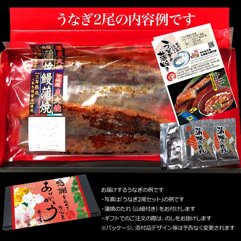 ギフト うなぎ 蒲焼き 国産 鰻 うなぎ蒲焼き 九州産 3尾 特大(約180〜200g前後×3尾)宮崎・鹿児島県産 送料無料