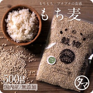 もち麦500g 無添加 令和2年産 愛媛県・香川県産 もち麦ごはん 食物繊維 高タンパク 高ミネラル β-グルカン 健康食品 雑穀 むぎ 麦ご飯