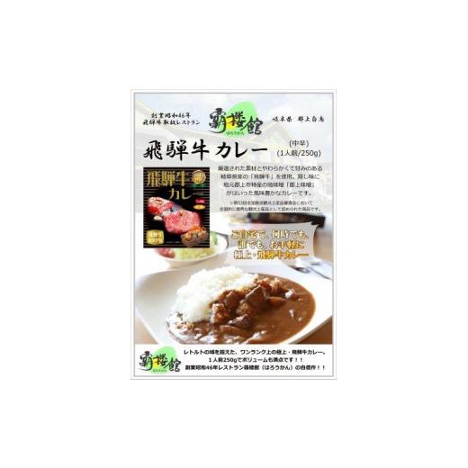 ふるさと納税 岐阜県 覇楼館・飛騨牛カレー1人前(250g)×8個セット