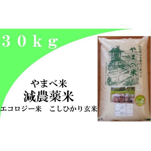 ふるさと納税 島根県 大田市 減農薬米（こしひかり１００％）３０ｋｇ【令和5年産 2023年産 コシヒカリ 30kg 島根県産 大田市産 米 玄米 エコロジー米…