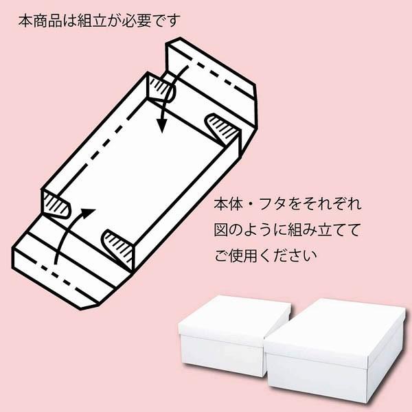 （ギフトボックス）白無地箱 カバン箱 C 50枚入（K05-4901755701234）