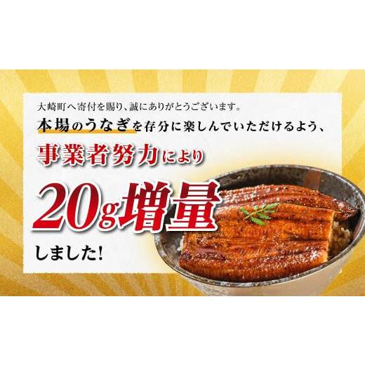 ふるさと納税 鹿児島県 大崎町 うなぎ備長炭手焼蒲焼２尾(合計300g以上）