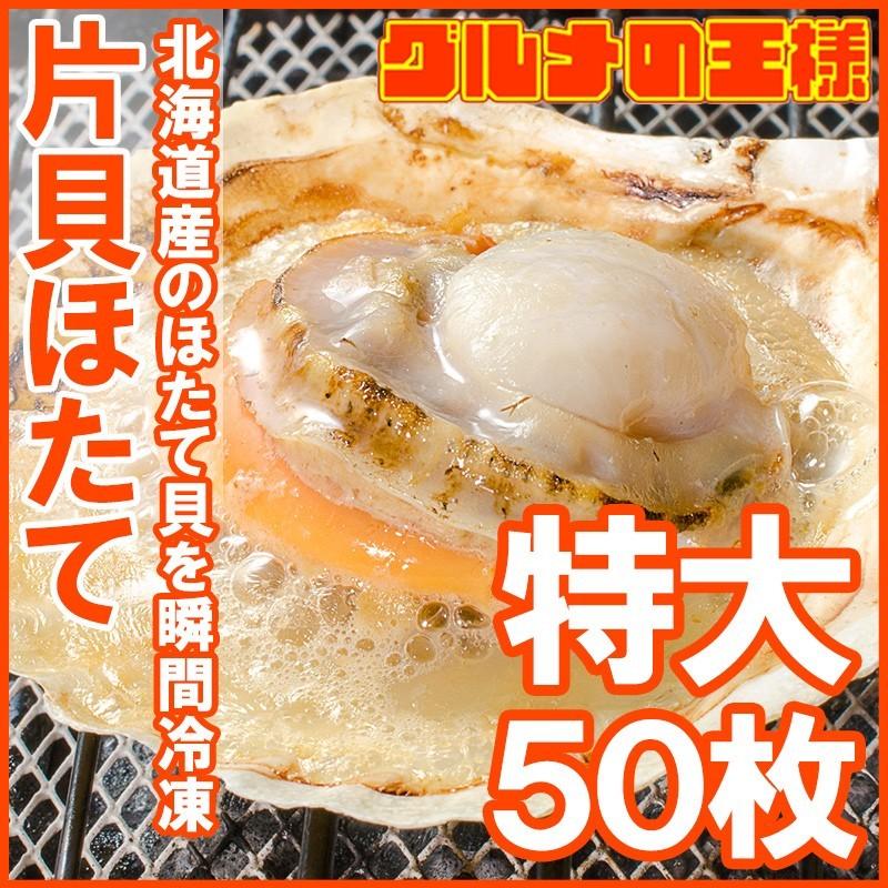 ホタテ ほたて 特大 片貝ほたて 50枚 10枚×5袋 （殻付きほたて 帆立 貝 バター焼き 浜焼き バーベキュー BBQ 業務用 築地市場 ギフト）