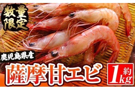 akune-2-45 数量限定！鹿児島県阿久根産 薩摩甘エビ(約1kg・42～50尾) 国産 阿久根市産 えび 海老 急速冷凍 冷凍配送 魚貝類 魚介類 海産物 2-45