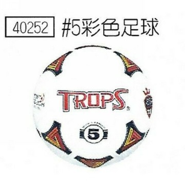 成功 40252 彩色足球 5號球 [附球針、球網]【APP滿額下單4%點數(單一帳號最高1000點)】7/31止